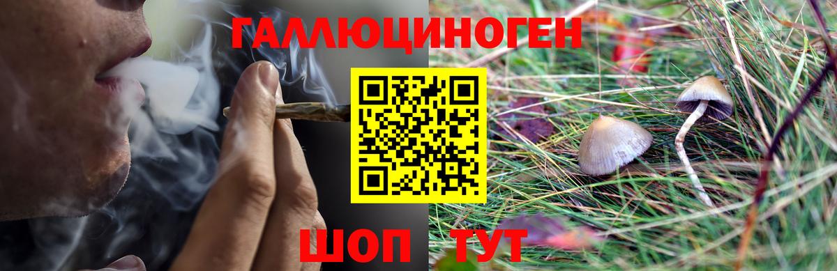 Галлюциногенные грибы Cubensis  Вход с VPN  Нягань  Галлюциногенные грибы прущие грибы 
